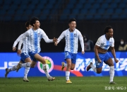 开云体育登录-土耳其球队赢得保级关键战，成功保级