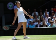 开云官网-温网完胜ATP总决赛，穆雷状态火热