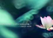 开云下载-跨界主宰，浙江队赛道式防守冻结黄蜂，马克西化身街道赛引擎狂飙制胜