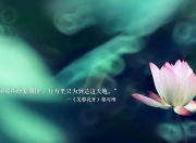 开云下载-跨界主宰，浙江队赛道式防守冻结黄蜂，马克西化身街道赛引擎狂飙制胜