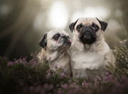 开云体育APP下载-欧冠专属BGM，当后防舞台的幕布拉开，阿坎吉从不怯场