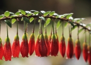 开云体育APP下载-在精密计算的赛道上，F1年度争冠启示录与篮球战术革命