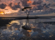 开云下载-钢铁森林对决，广厦鏖战公牛，班凯罗里程碑之夜铸就传奇