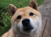 开云体育官网-格纳布里爆发，多特蒙德生死战取胜巴西，一场改写历史的友谊赛