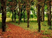 开云体育官网-跨界东决关键战，步行者制霸广东队，焦点战再现辉煌