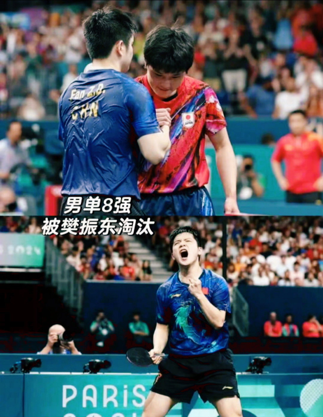 奥地利队险胜波兰队，张本智和惊艳四座