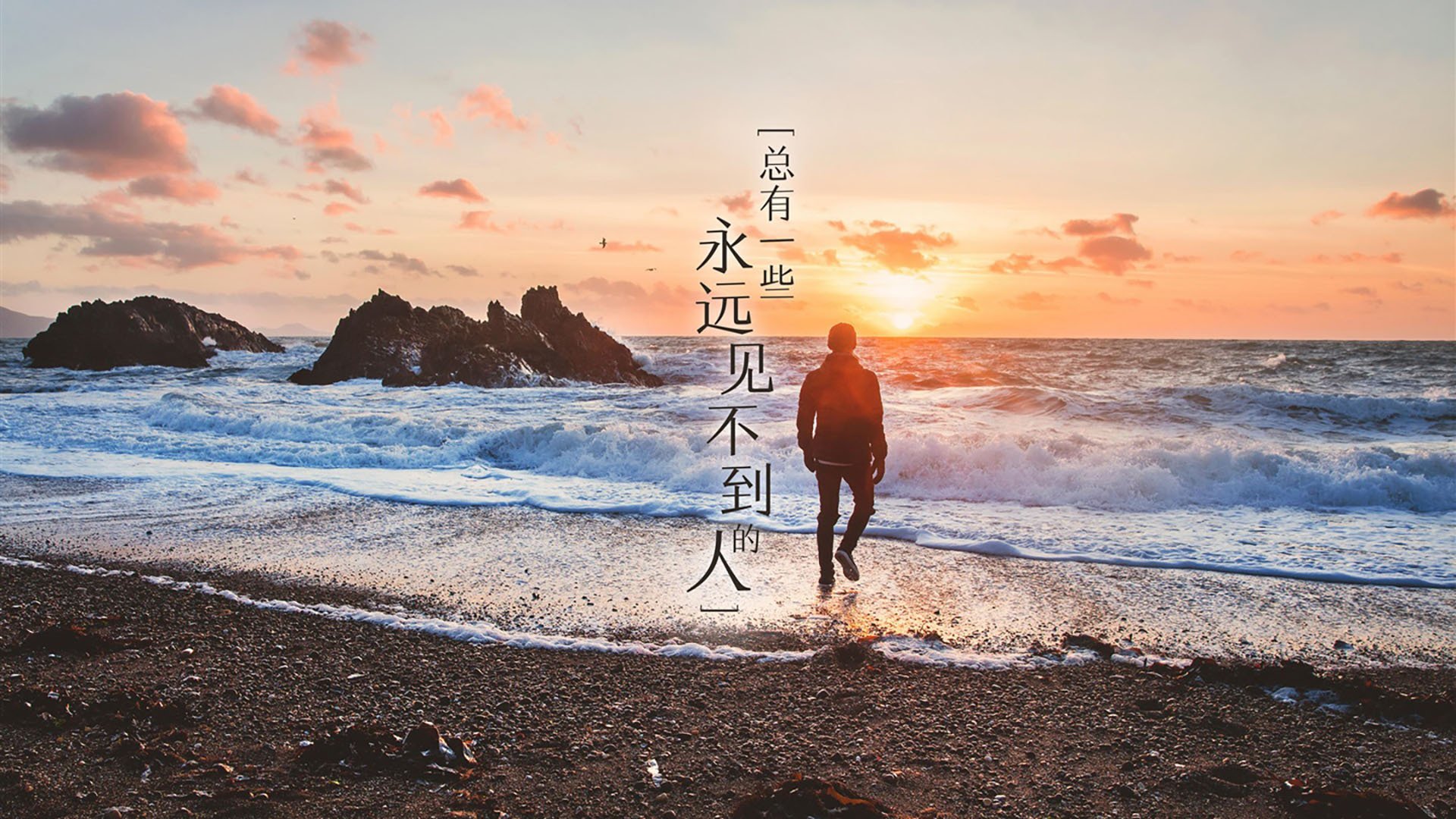 无双与平庸,当恩比德展现冠军级表现,鹈鹕用体系碾压公牛