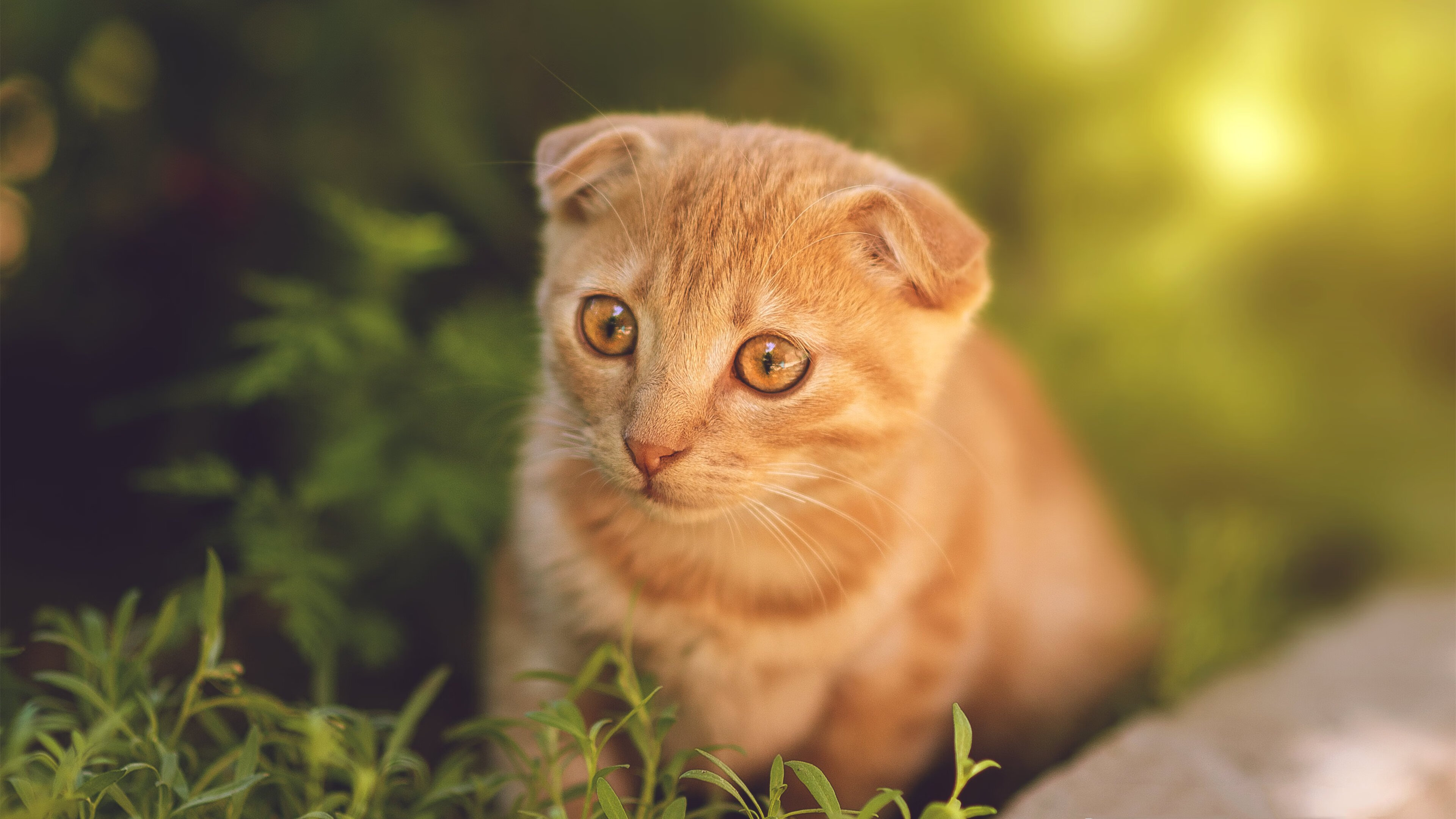 欧冠专属BGM，当后防舞台的幕布拉开，阿坎吉从不怯场