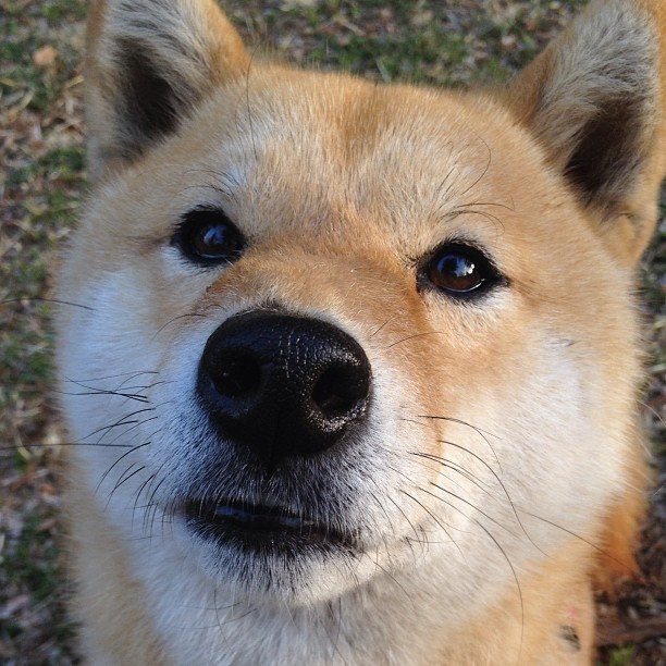 篮网防线如流沙,塔图姆45分凿穿纽约之夜 年度焦点之战深度复盘