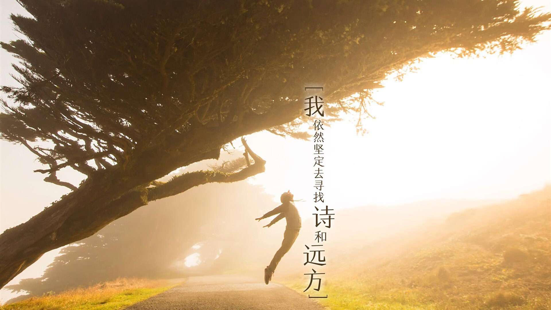 黑色长城与红色闪电，当拜仁的法国封锁线遭遇阿什拉夫的致命穿刺