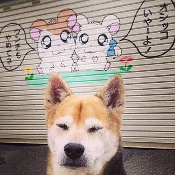 奥纳纳压哨三分书写传奇