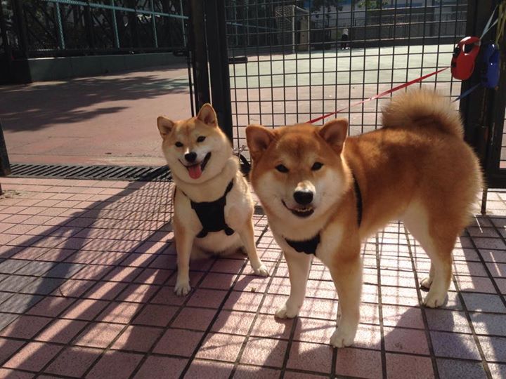 季后赛奇迹，乔治在抢七中爆发，爵士掀翻老鹰